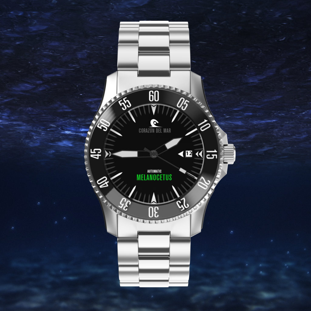 MELANOCETUS | 40 mm | GRÜN