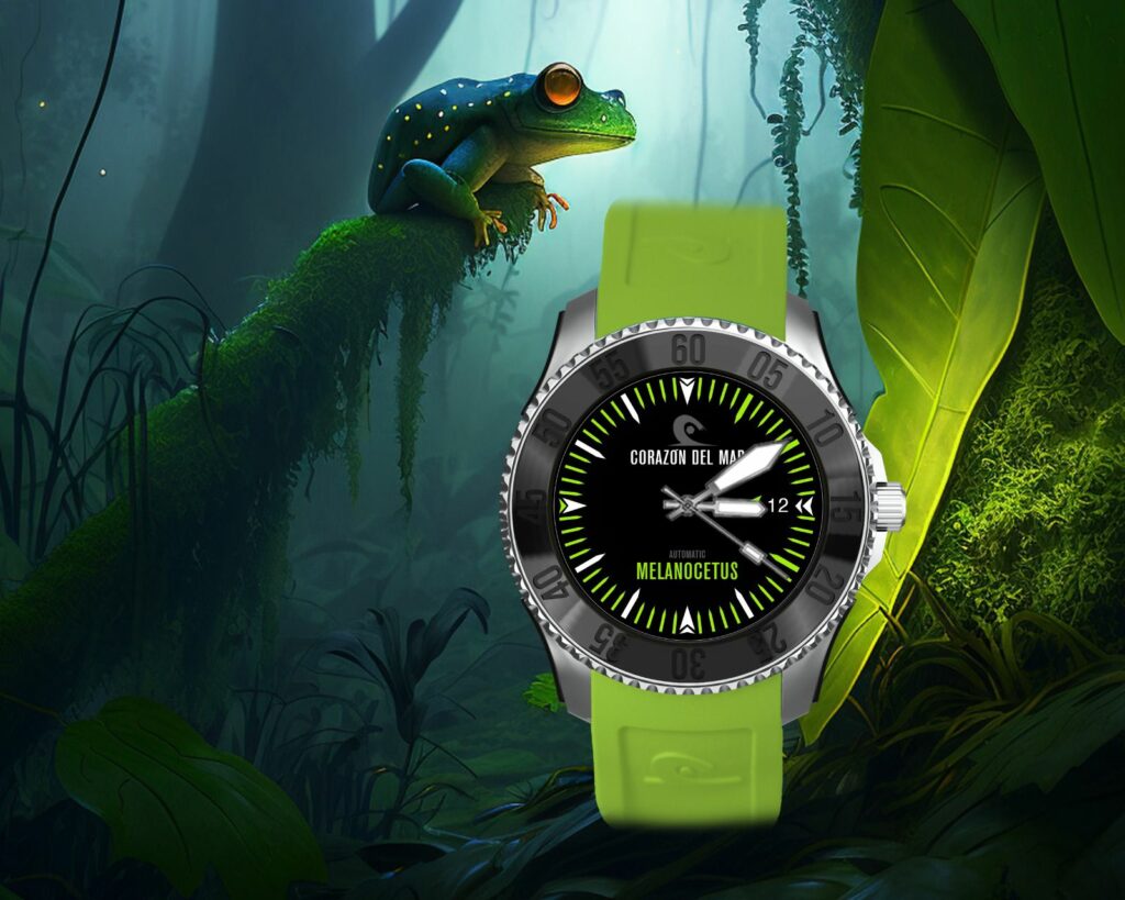 MELANOCETUS 40 | Amazonica